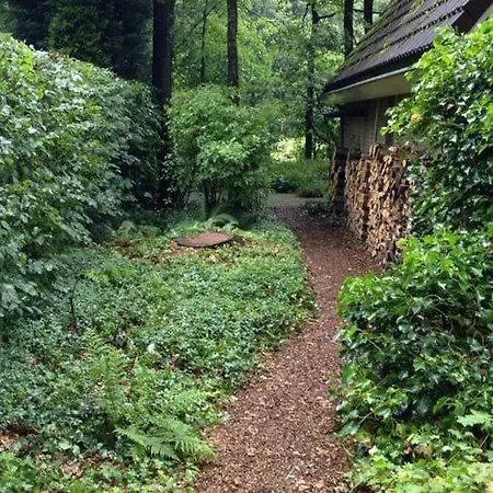 Cozy Holiday In With Hiking Nearby Casa de Férias Winterswijk